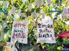 -大泽山风景名胜区