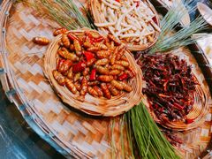 -昆虫窝子·特色云南菜(拓东路总店)