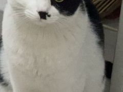 -心仪动物医院·牙专科·肿瘤·心脏科(西客站院)