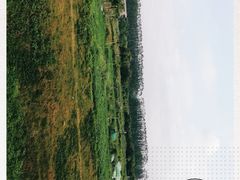 -光明小镇欢乐田园