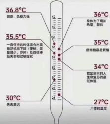 -名发世家烫染