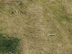 -苏州东太湖生态园