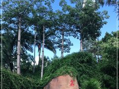 -荔枝公园(福田区)