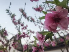 -乌山风景区