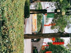 -云溪植物园