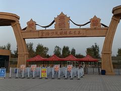 -金塔沙漠胡杨林景区