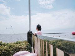 -碧海金沙