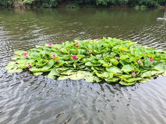 -前关湿地公园