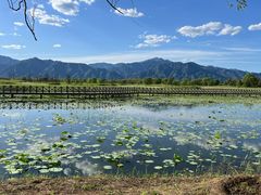 -野鸭湖国家湿地公园