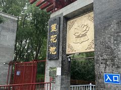 -莲花池公园