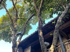 -绍兴鲁迅故里·沈园景区