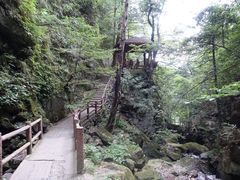 -藏龙百瀑风景区