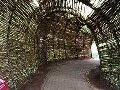 -北海金海湾红树林生态旅游区