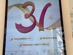 -北京观赏动物医院·24小时大型综合·猫专科·异宠专科