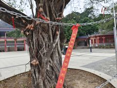 -飞霞风景名胜区