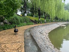 -中国农业博物馆