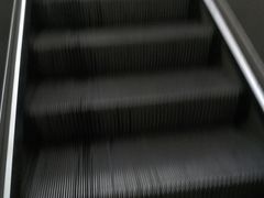 -东方体育中心(地铁站)