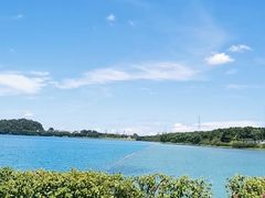 -露天矿生态公园