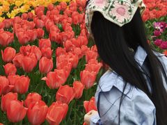 -苏州上方山国家森林公园