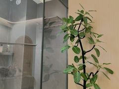 -瑶舍头疗·瑶浴·芳香热石SPA(五洲国际店)