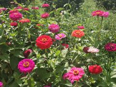 -名花谷生态庄园