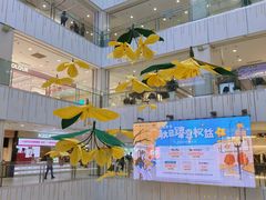 -凯德MALL(西直门店)