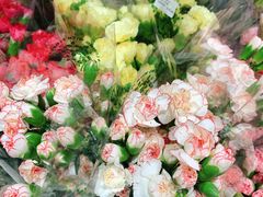 -AEON永旺(东方宝泰店)