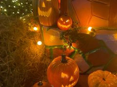 -郑州方特梦幻王国