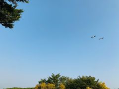 -大湾区中央湿地公园