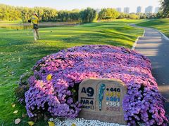 -北京鸿华高尔夫练习场
