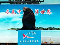 -长春中泰海洋世界