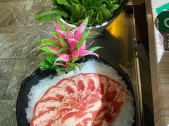 -探窝·竹笙椰子鸡(杨箕店)