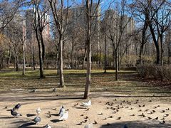 -迎泽公园