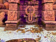 -哈尔滨波塞冬海底世界