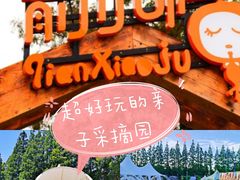 -前小桔亲子创意农场·草莓采摘·露营烧烤