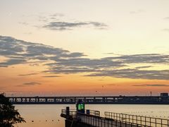 -宝安西湾红树林湿地公园