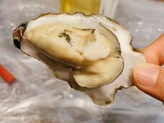 高压锅生蚝-狮龙啤酒烧烤屋(建二路店)