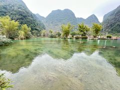 -靖西鹅泉风景区