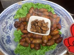 -鸽子窝(青塔店)
