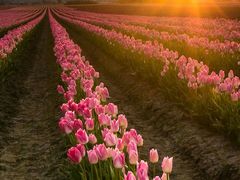 -星美国际影商城(虞景文华店)