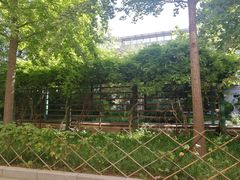 -全国人大会议中心