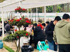 -三圣花乡旅游区