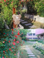 -安琪朵朵独栋花园月子中心