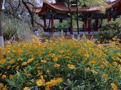 -昆明动物园
