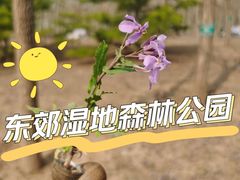 -东郊湿地公园