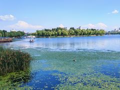 -长春市南湖公园