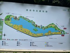 -华侨城湿地公园