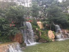 -广州市帽峰山景区
