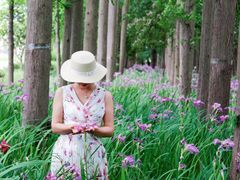 -上海长兴岛郊野公园