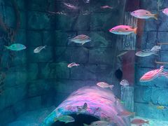 -沈阳海洋探索中心